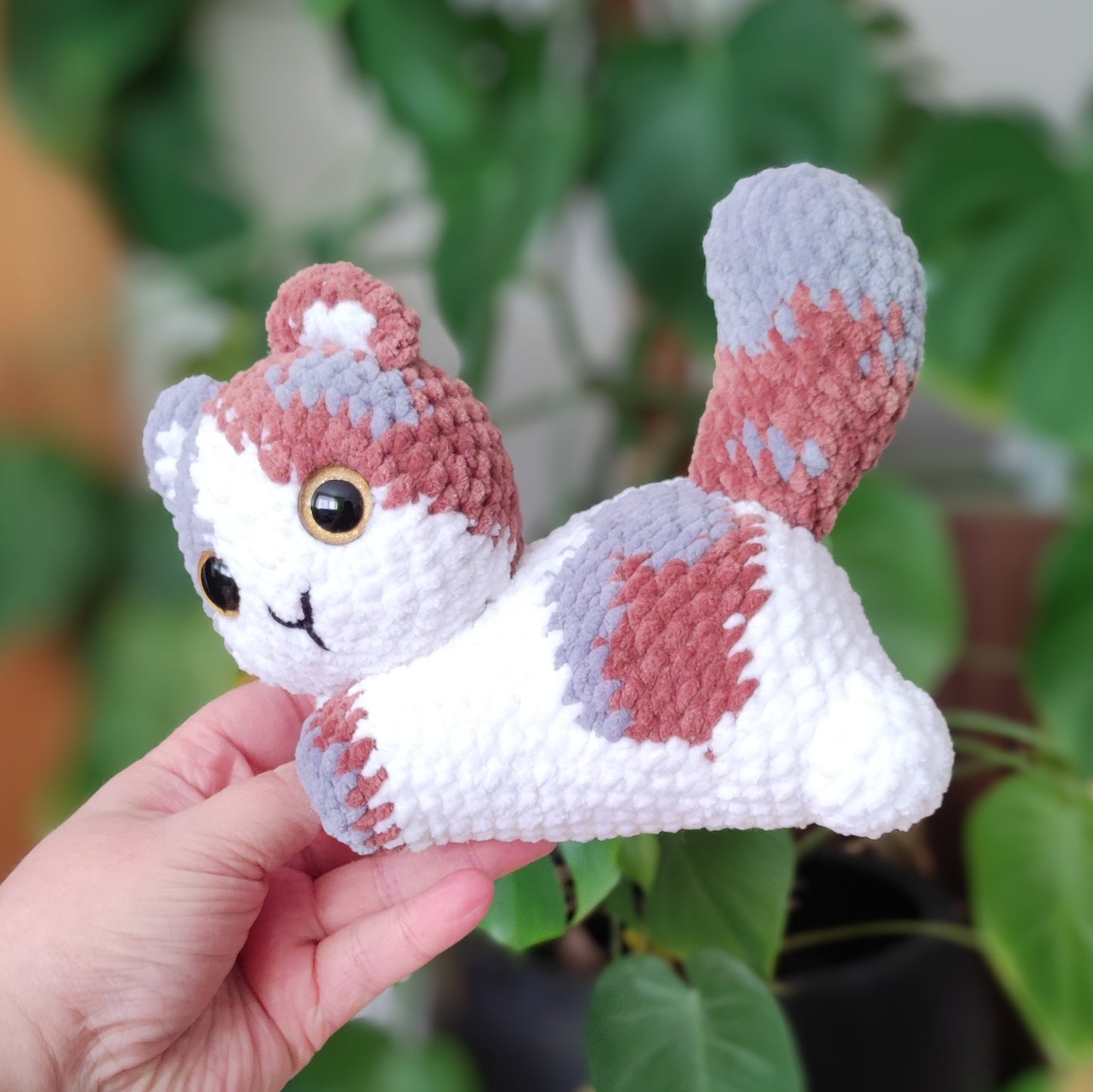 Dreifarbige Katze