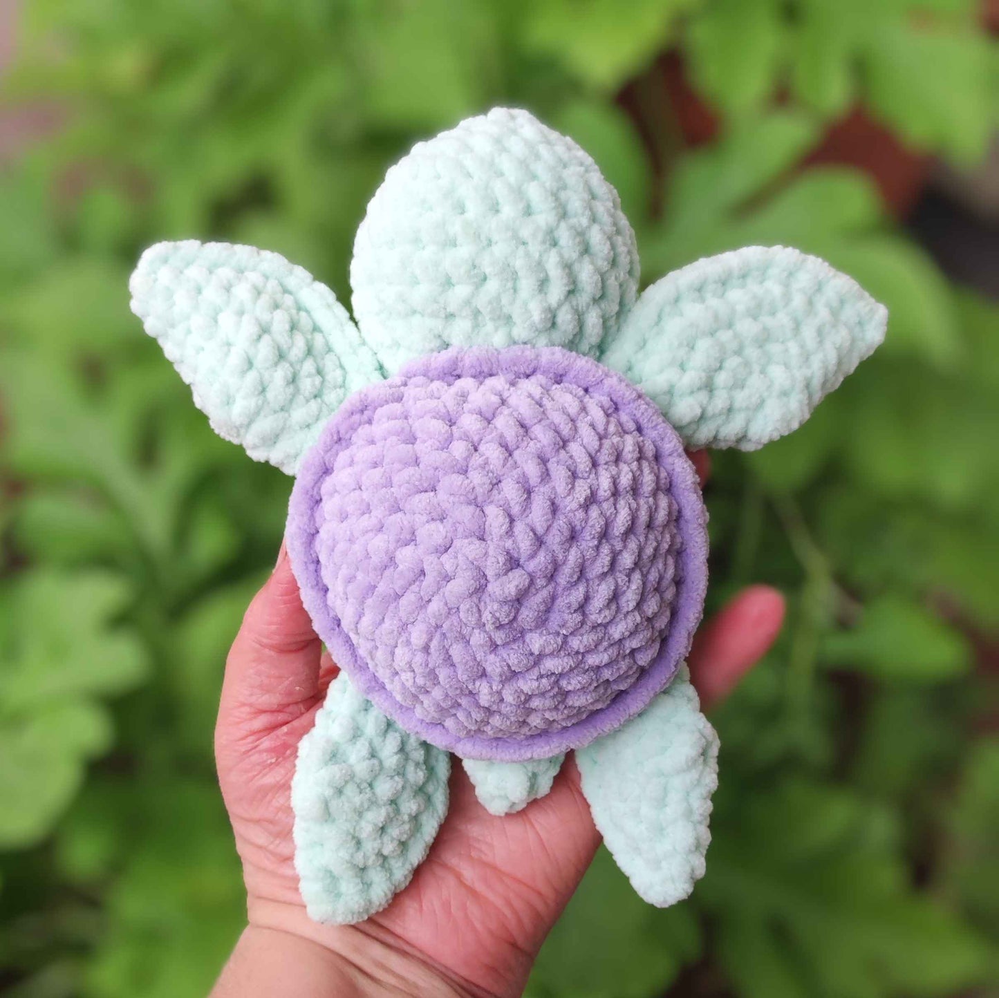 Einfache Baby Schildkröte