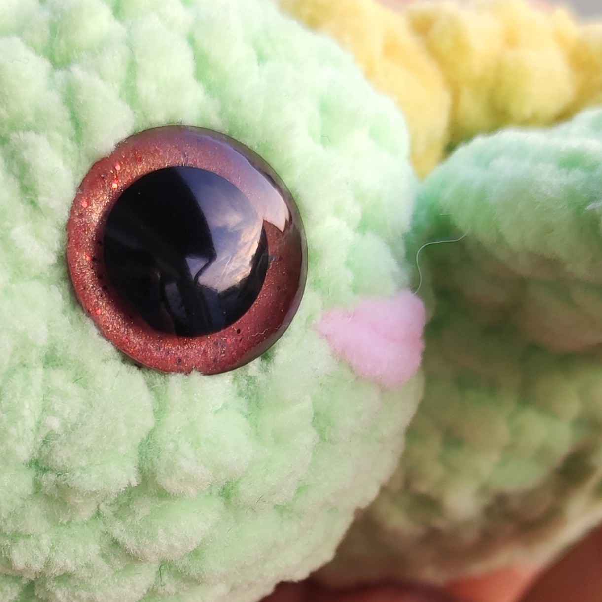 Baby Turtle Sunflower