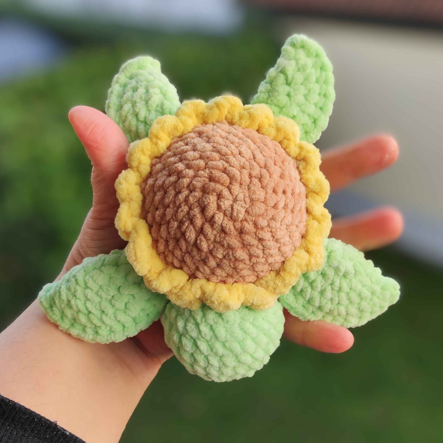 Baby Turtle Sunflower