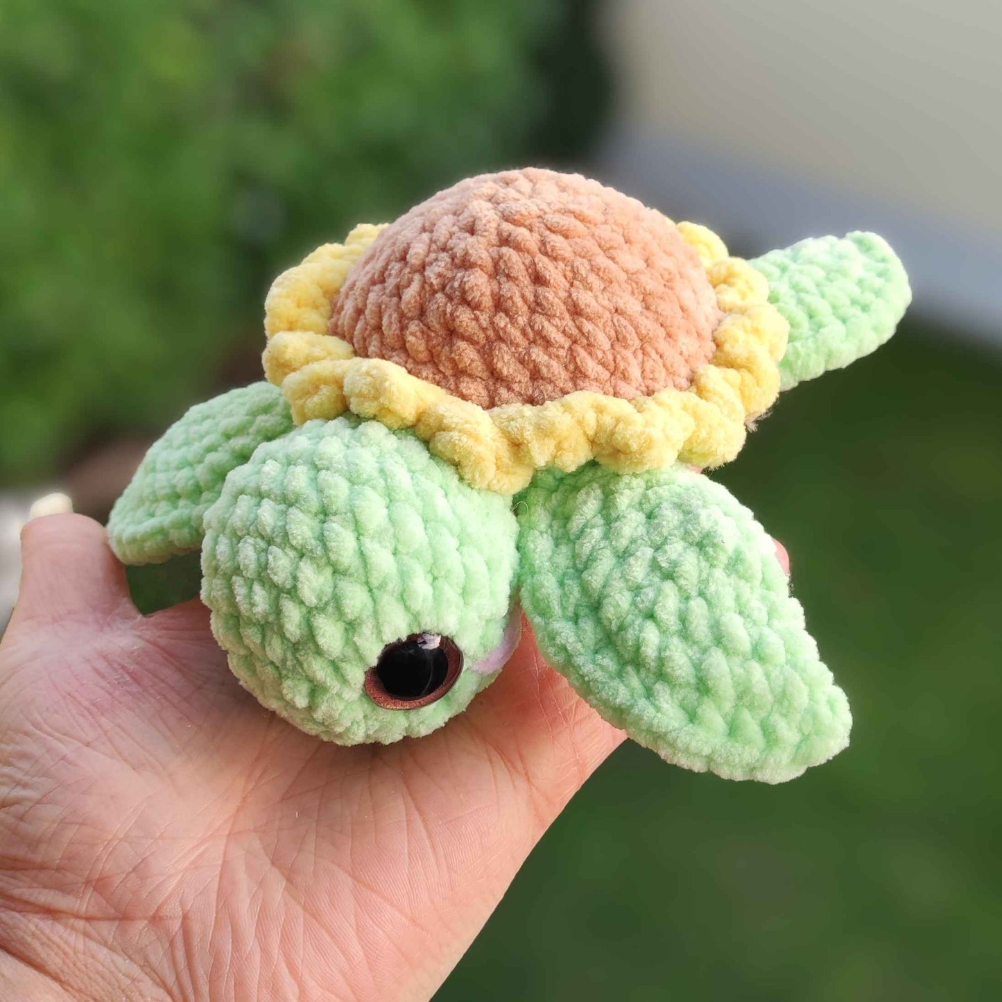 Baby Turtle Sunflower