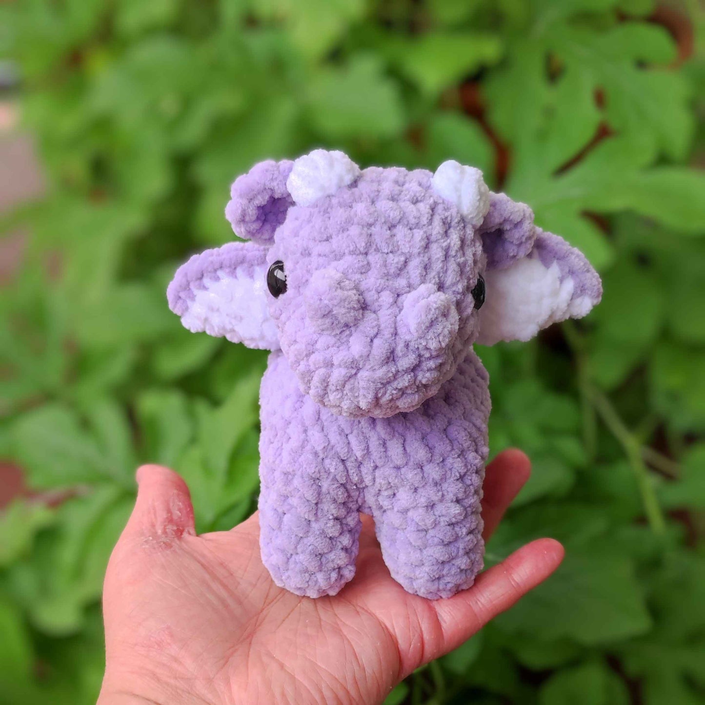 Baby Drache