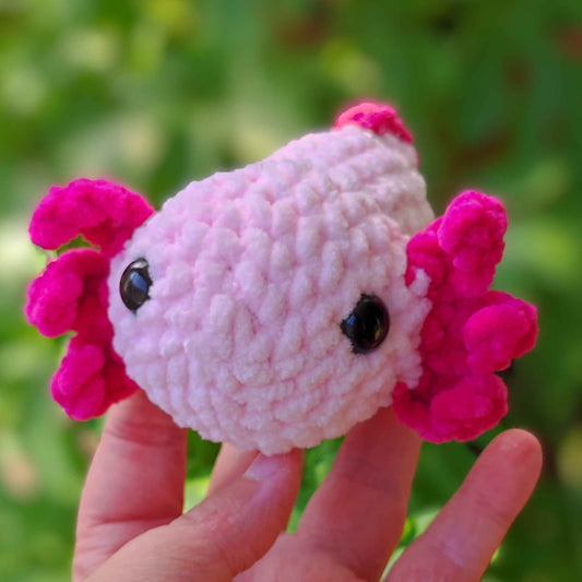 Axolotl