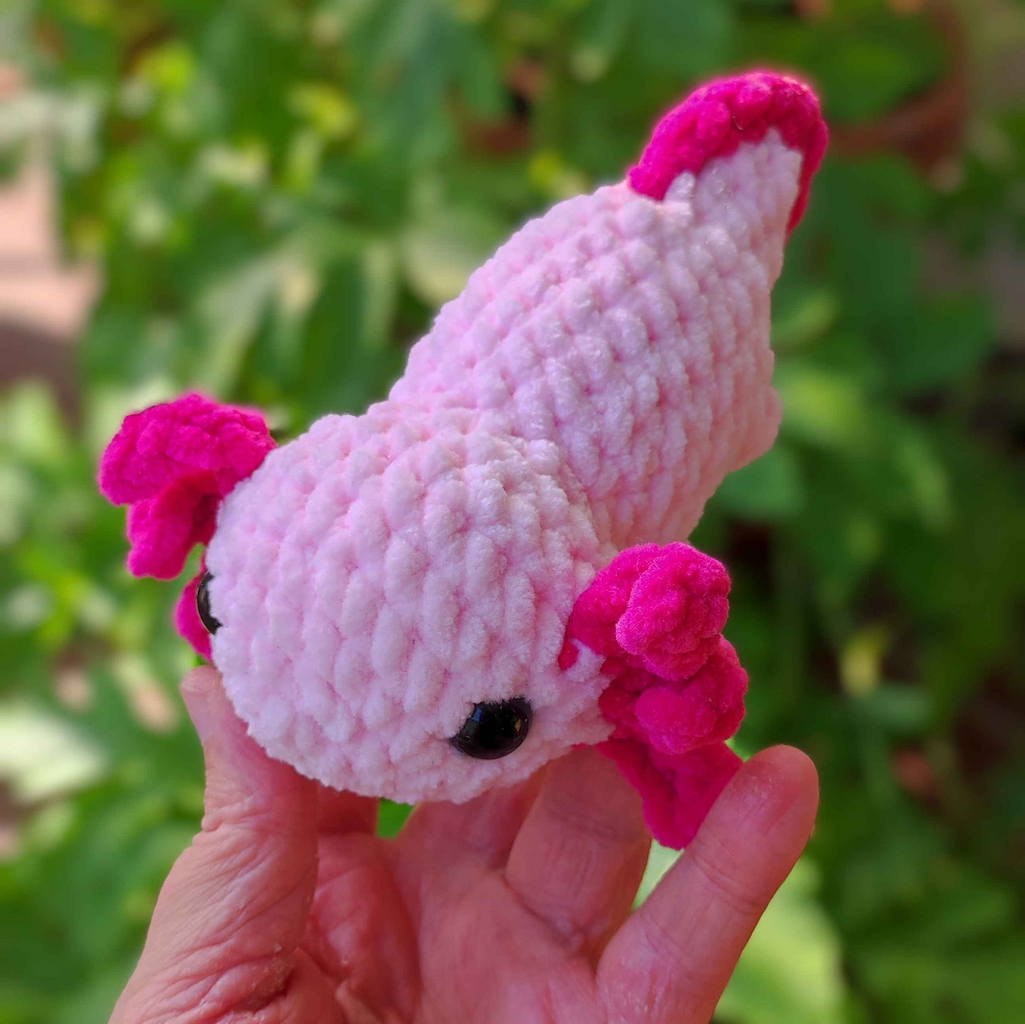 Axolotl