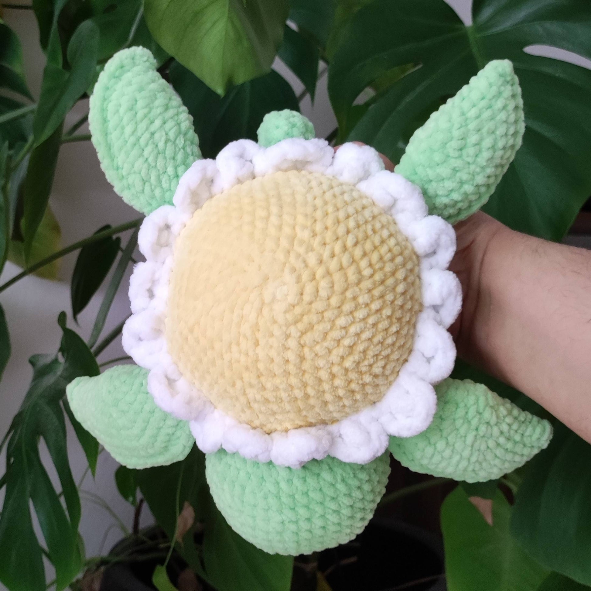 schildkroete_kuscheltier_daisy_drauf