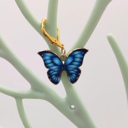 Markierer_Schmetterlingblau
